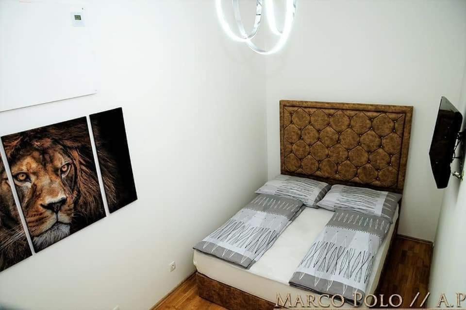 MarkoPolo Apartments Vienna Esterno foto